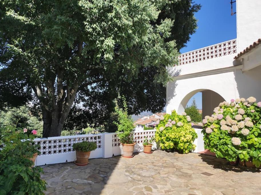 Casa Pomar - Preciosa Casa Con Piscina Y Vistas A La Sierra Villa Grazalema Kültér fotó